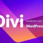 Divi v4.27.0 Theme + 1000 Premade Layouts Download Devil