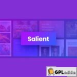 Salient v15.0.2 - Responsive Multi-Purpose Wordpress Theme - GPL Adda