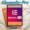 Elementor Pro