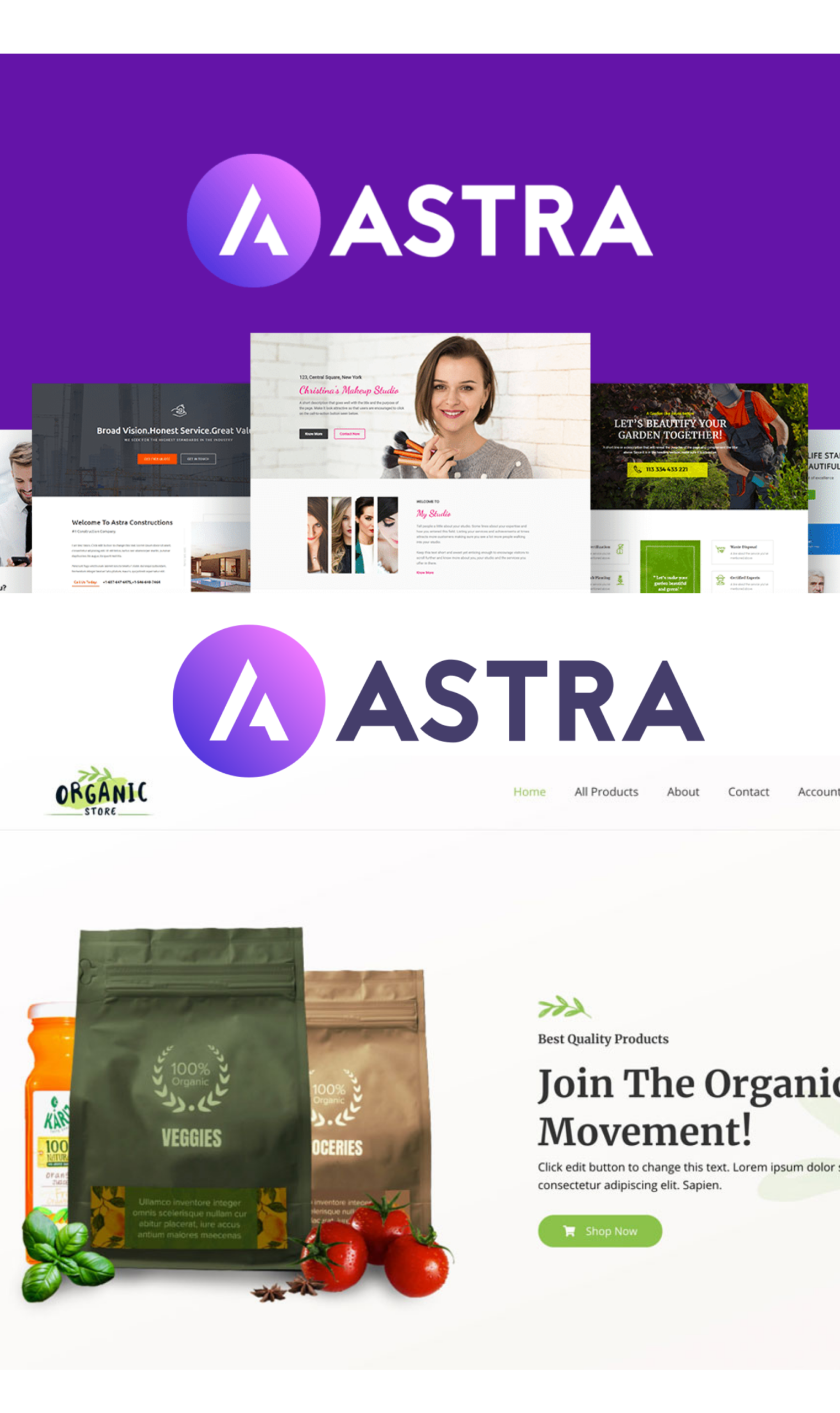 Astra Pro v4.12.2 – WordPress Theme Addon – Plugin